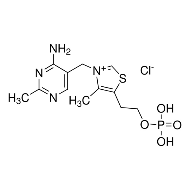 Thiamine Monophosphate Chloride