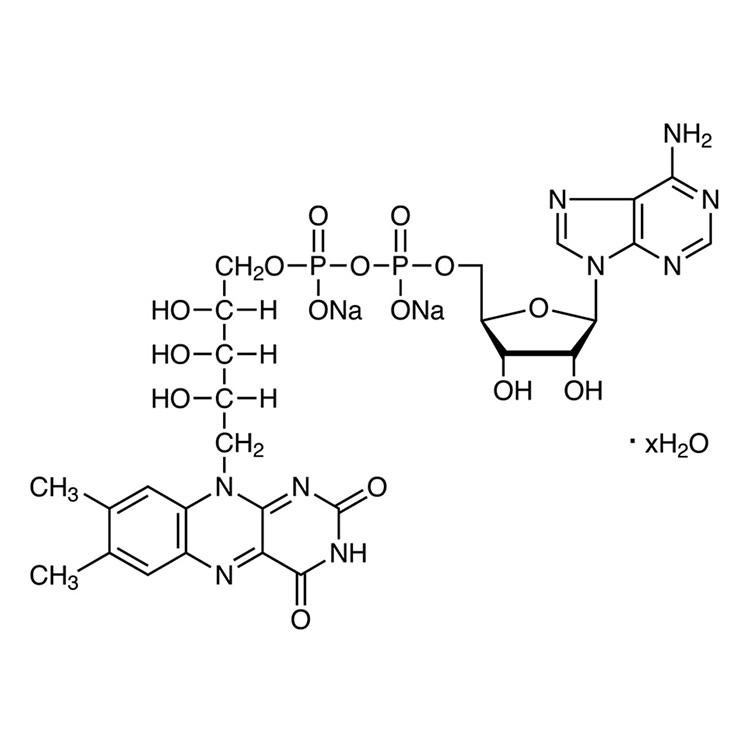 Flavin Adenine Dinucleotide Disodium Salt Hydrate